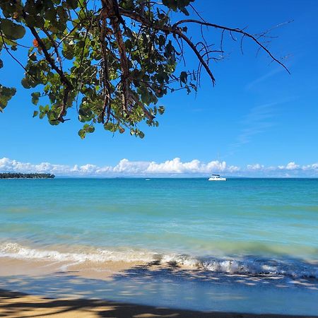 Las Terrenas, La Fenice, Playa Popy Экстерьер фото
